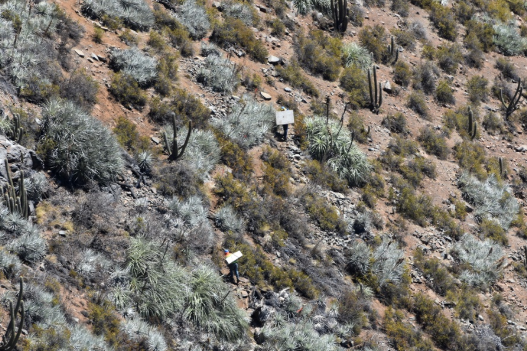 Luz amarilla para Acueducto San Isidro-Quilapilún: pondría en riesgo Reserva La Campana en Olmué Luz amarilla para Acueducto San Isidro-Quilapilún: pondría en riesgo Reserva La Campana en Olmué