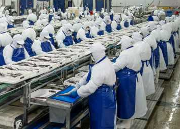 PacificBlu, la segunda empresa pesquera que anuncia el cierre de su planta en menos de una semana PacificBlu, la segunda empresa pesquera que anuncia el cierre de su planta en menos de una semana