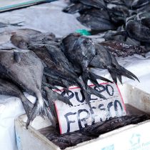 Pescadores y trazabilidad: una alternativa para ganar precios justos