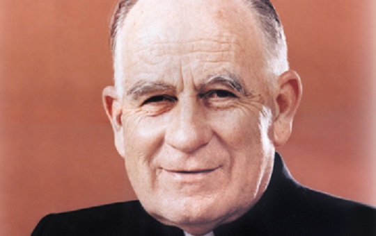 Cardenal del Pueblo Cardenal del Pueblo