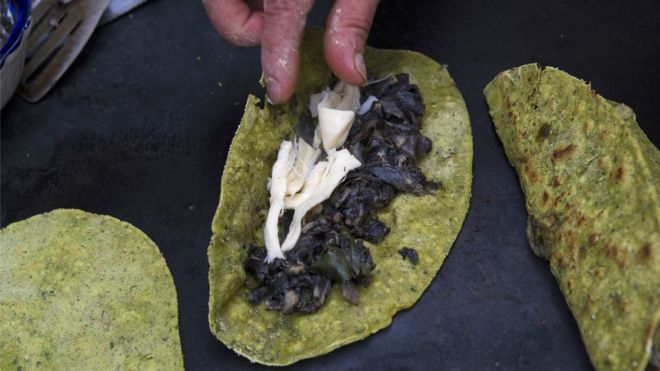 El lucrativo negocio del huitlacoche, el hongo que en México es un manjar y en el resto del mundo una plaga El lucrativo negocio del huitlacoche, el hongo que en México es un manjar y en el resto del mundo una plaga