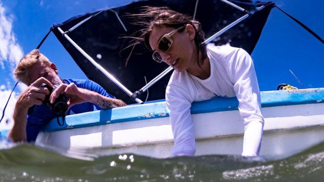 Ilena Zanella, la científica que ganó el “Oscar verde” por crear el primer santuario de tiburones de Costa Rica Ilena Zanella, la científica que ganó el “Oscar verde” por crear el primer santuario de tiburones de Costa Rica