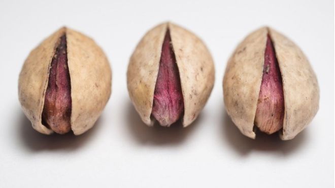 Los pistachos tan valiosos que necesitan ser protegidos por la policía Los pistachos tan valiosos que necesitan ser protegidos por la policía