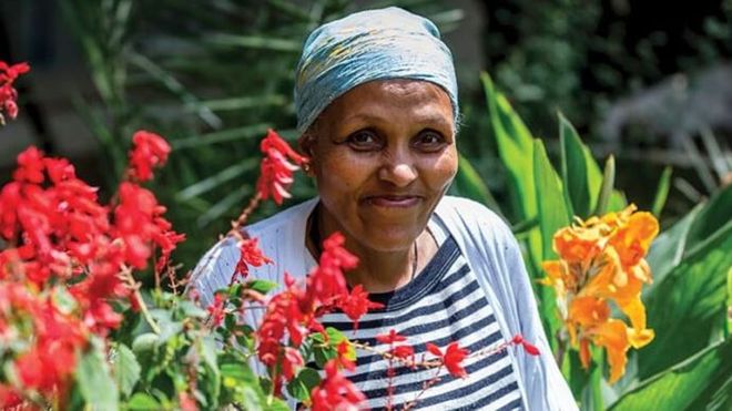 Mamitu Gashe, la cirujana analfabeta que se convirtió en una médico de renombre mundial Mamitu Gashe, la cirujana analfabeta que se convirtió en una médico de renombre mundial