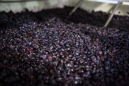 ¿Por qué en Burdeos piden reducir un 10 % de sus viñedos de vino tinto?