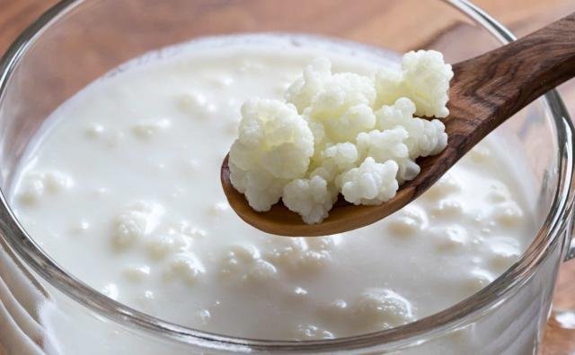 Estudio revela que consumo de “yogurt de pajaritos” ayuda a pacientes diabéticos Estudio revela que consumo de