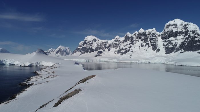 Derretimiento de glaciares ayudó al desarrollo de importantes poblaciones de microalgas en dos bahías antárticas Derretimiento de glaciares ayudó al desarrollo de importantes poblaciones de microalgas en dos bahías antárticas
