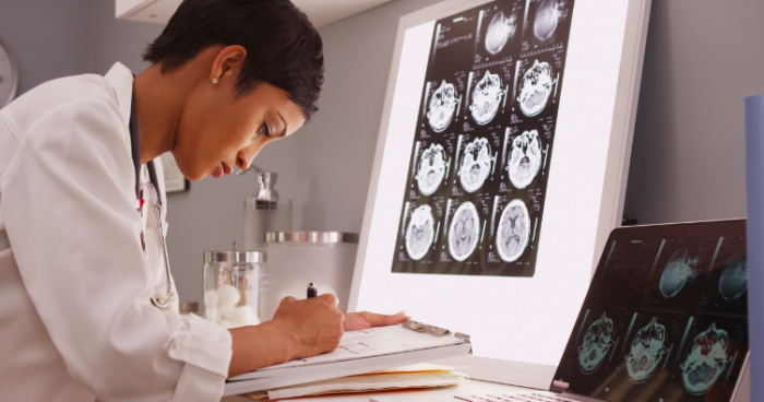 Neurocientíficos identifican que plantas y animales poseen el mismo neurotransmisor que detecta el daño en el organismo Neurocientíficos identifican que plantas y animales poseen el mismo neurotransmisor que detecta el daño en el organismo