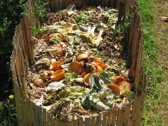 El plan del Ministerio de Medio Ambiente para fomentar el compost en Chile El plan del Ministerio de Medio Ambiente para fomentar el compost en Chile