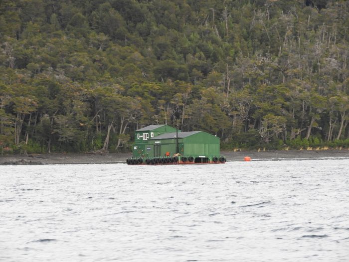Greenpeace e instalación de salmonera Nova Austral: “Es una toma ilegal de mar y el Estado los debe desalojar” Greenpeace e instalación de salmonera Nova Austral: “Es una toma ilegal de mar y el Estado los debe desalojar”