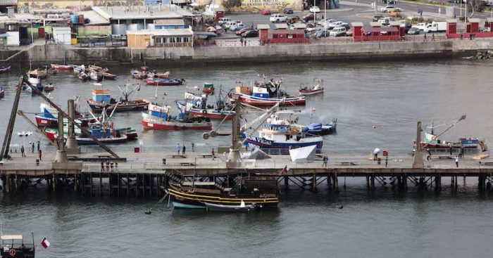 SACO8 Festival de Arte Contemporáneo define ganadores para exposición en el Muelle Histórico de Antofagasta SACO8 Festival de Arte Contemporáneo define ganadores para exposición en el Muelle Histórico de Antofagasta