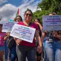 Adopción homoparental: Gobierno sufre traspié en la Cámara de Diputados y fracasa con su reposición del rol del “padre y madre”
