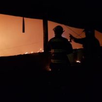 Miles de pollos mueren tras voraz incendio en galpón de Ariztia en San Antonio