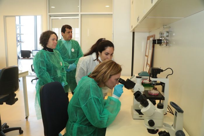 A la vanguardia de la nanoseguridad: inauguran primer laboratorio que detecta la peligrosidad de las nanopartículas A la vanguardia de la nanoseguridad: inauguran primer laboratorio que detecta la peligrosidad de las nanopartículas