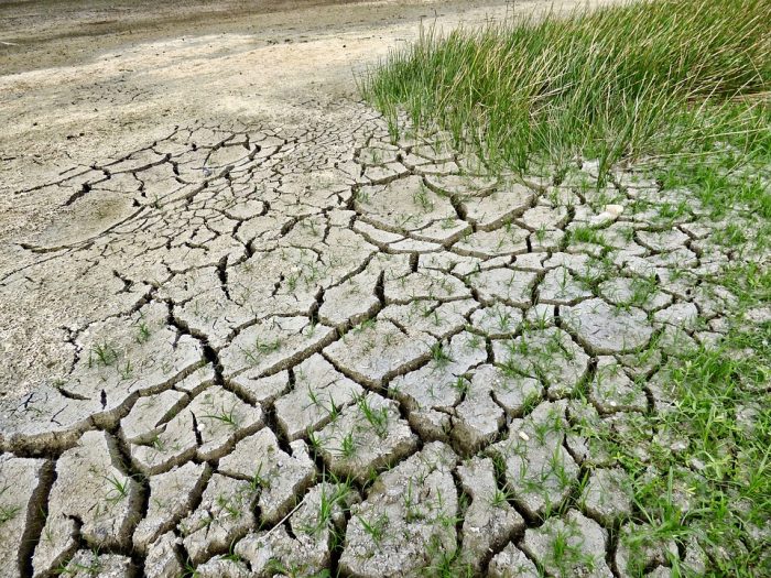 Universidades chilenas se comprometen contra el cambio climático y firman convenio de colaboración Universidades chilenas se comprometen contra el cambio climático y firman convenio de colaboración