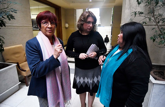 “Hay una violencia hacia el género”: Celis (RN) se va en picada contra su correligionario René Manuel García “Hay una violencia hacia el género”: Celis (RN) se va en picada contra su correligionario René Manuel García