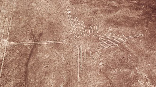 La sorprendente identidad de las misteriosas aves gigantes en las líneas de Nasca en Perú La sorprendente identidad de las misteriosas aves gigantes en las líneas de Nasca en Perú