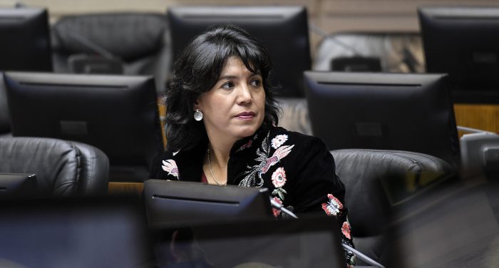 Yasna Provoste dispara contra Chahin y califica de «ambiguo» el acuerdo de la DC con La Moneda por reforma tributaria Yasna Provoste dispara contra Chahin y califica de