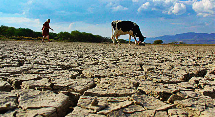 Desertificación en Chile: la urgente protección de los ecosistemas de transición Desertificación en Chile: la urgente protección de los ecosistemas de transición