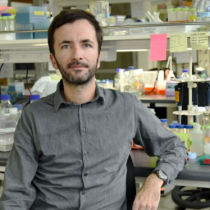 Investigación liderada por Claudio Hetz saca portada en prestigiosa revista Nature Cell Biology