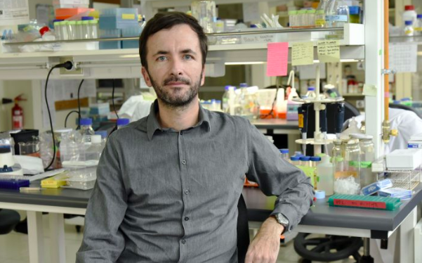 Investigación liderada por Claudio Hetz saca portada en prestigiosa revista Nature Cell Biology