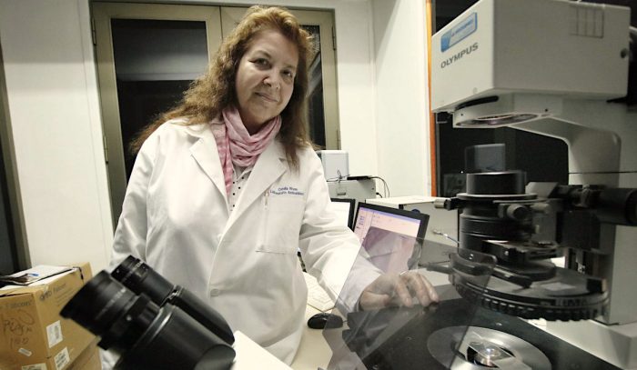 Científicos UdeC descubren mecanismo clave para combatir células cancerígenas Científicos UdeC descubren mecanismo clave para combatir células cancerígenas