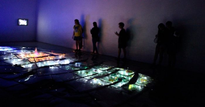Exposición «Alfa costellazioni» de Carellia Riccardi en MAC Quinta Normal Exposición «Alfa costellazioni» de Carellia Riccardi en MAC Quinta Normal