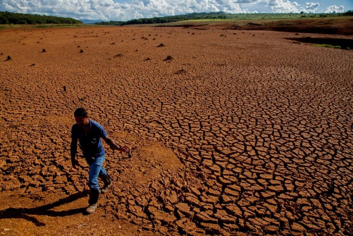 Día Mundial contra la Desertificación y la Sequía: Chile y el mundo se secan Día Mundial contra la Desertificación y la Sequía: Chile y el mundo se secan