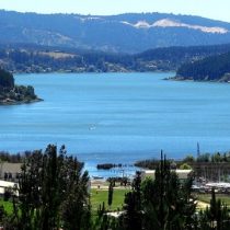 Investigación revela que plantaciones forestales han dañado el lago Vichuquén