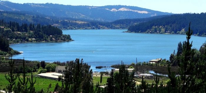 Investigación revela que plantaciones forestales han dañado el lago Vichuquén Investigación revela que plantaciones forestales han dañado el lago Vichuquén