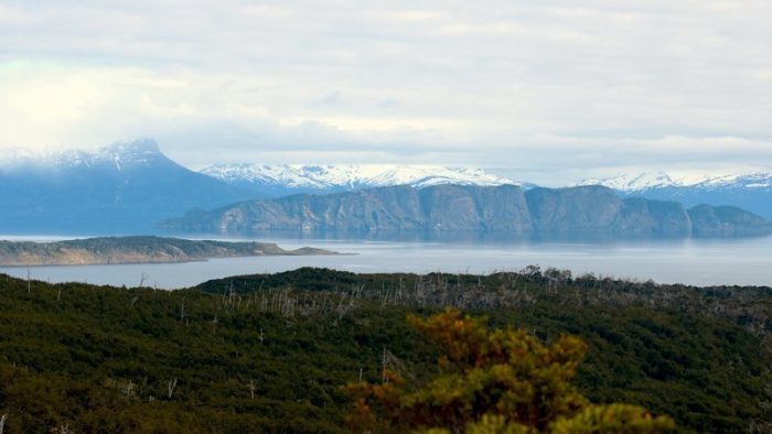 La campaña ciudadana para crear el Servicio de Biodiversidad y Áreas Protegidas La campaña ciudadana para crear el Servicio de Biodiversidad y Áreas Protegidas