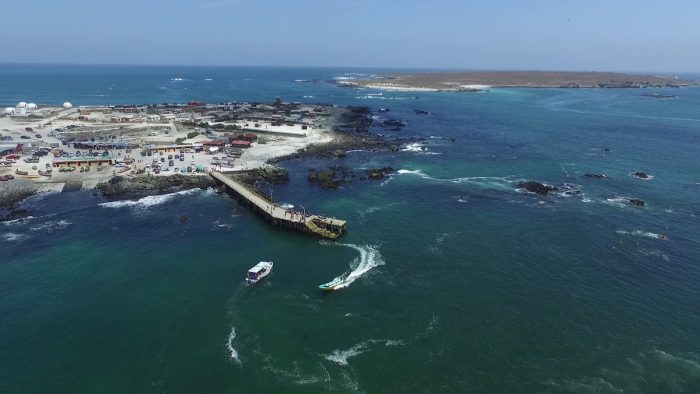 Escolares de Punta de Choros dibujan la biodiversidad y el mar para fomentar la protección del medioambiente en la zona Escolares de Punta de Choros dibujan la biodiversidad y el mar para fomentar la protección del medioambiente en la zona