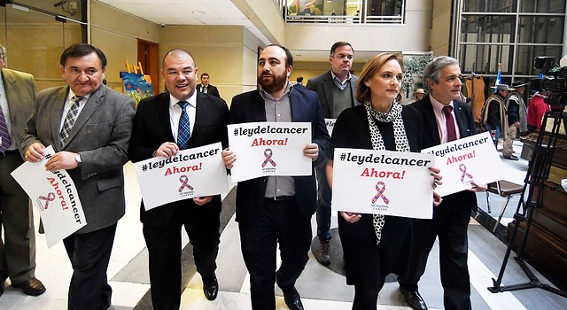 Mañalich responde a la oposición por Ley del Cáncer haciendo gala de su estilo: “Son ignorantes” Mañalich responde a la oposición por Ley del Cáncer haciendo gala de su estilo: “Son ignorantes”