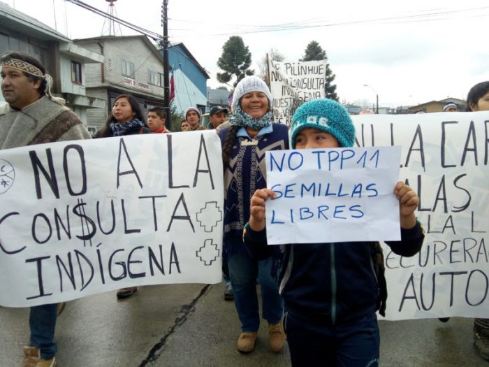 Gobierno posterga consulta indígena en Ercilla por 