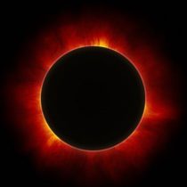 Neurociencia: científicos investigan efectos biológicos en los ecosistemas durante los eclipses