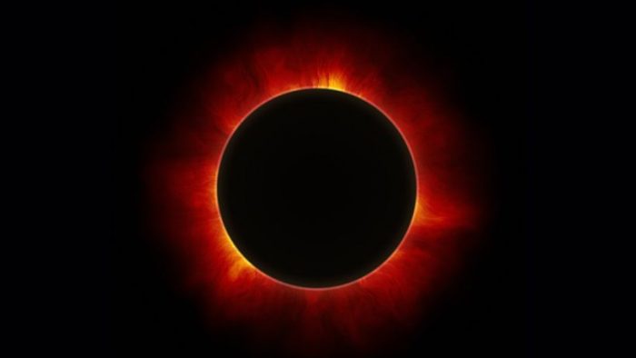 Neurociencia: científicos investigan efectos biológicos en los ecosistemas durante los eclipses Neurociencia: científicos investigan efectos biológicos en los ecosistemas durante los eclipses