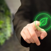 Empresas y sustentabilidad: una tarea de todos los actores