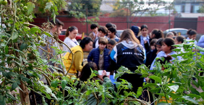 Colegios municipales consolidan prácticas medioambientales y aprenden a gestionar una huerta escolar Colegios municipales consolidan prácticas medioambientales y aprenden a gestionar una huerta escolar