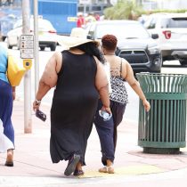 ¿Se puede avanzar en una cura para la obesidad?