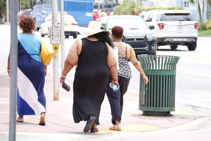 ¿Se puede avanzar en una cura para la obesidad? ¿Se puede avanzar en una cura para la obesidad?