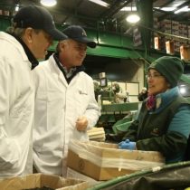 Ministro de Agricultura celebra primer envío de peras chilenas a China y anuncia que “prontamente serán los cítricos”
