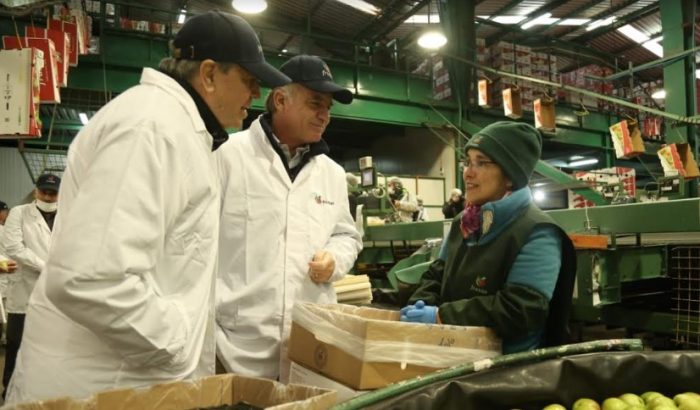 Ministro de Agricultura celebra primer envío de peras chilenas a China y anuncia que “prontamente serán los cítricos”