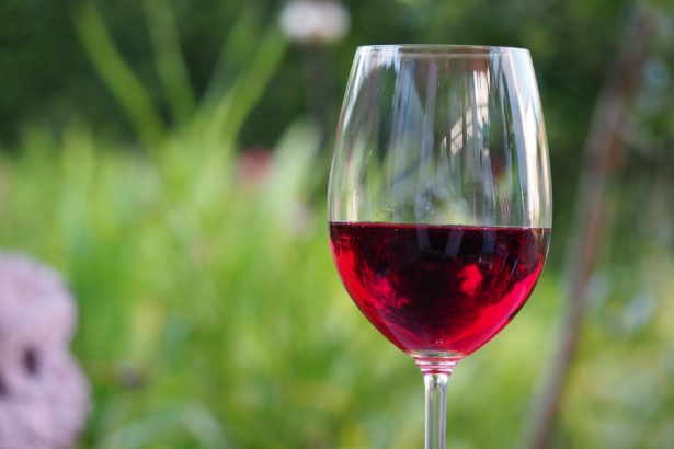 Día del Merlot: todo lo que necesitas saber para disfrutar de esta cepa Día del Merlot: todo lo que necesitas saber para disfrutar de esta cepa