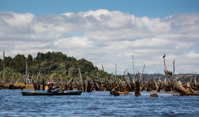 El plan provincial para la protección de humedales de Chiloé El plan provincial para la protección de humedales de Chiloé