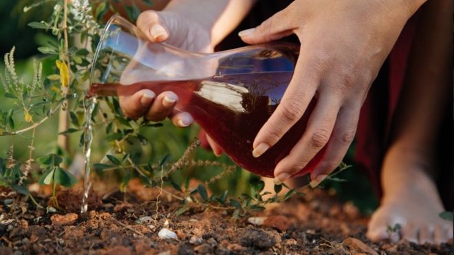 «Sembrando la luna»: la tradición ancestral de mujeres que honran la menstruación «Sembrando la luna»: la tradición ancestral de mujeres que honran la menstruación