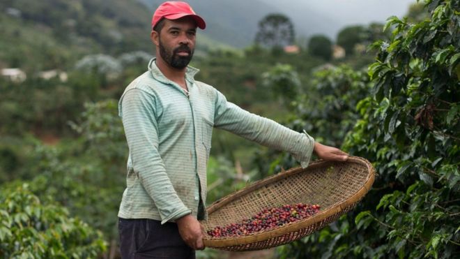 Cómo te puede afectar la crisis mundial del café Cómo te puede afectar la crisis mundial del café