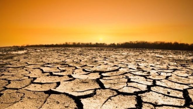 Cambio climático: por qué los próximos 18 meses son cruciales para el planeta y para todos nosotros Cambio climático: por qué los próximos 18 meses son cruciales para el planeta y para todos nosotros