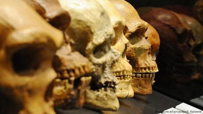 Grecia: identifican al Homo sapiens no africano más antiguo Grecia: identifican al Homo sapiens no africano más antiguo