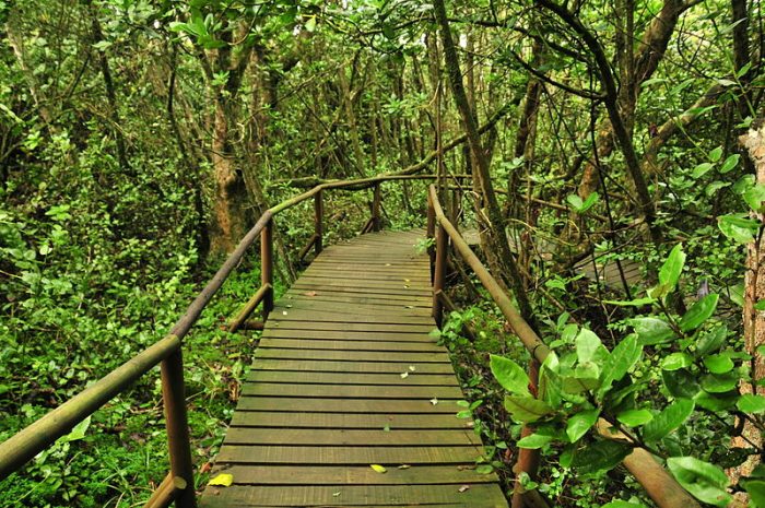 ¿Es compatible concesionar Parques Nacionales con la protección ambiental? ¿Es compatible concesionar Parques Nacionales con la protección ambiental?