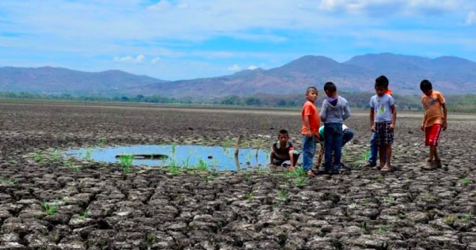 Cambio climático. El costo para revertirlo sería una ganga Cambio climático. El costo para revertirlo sería una ganga